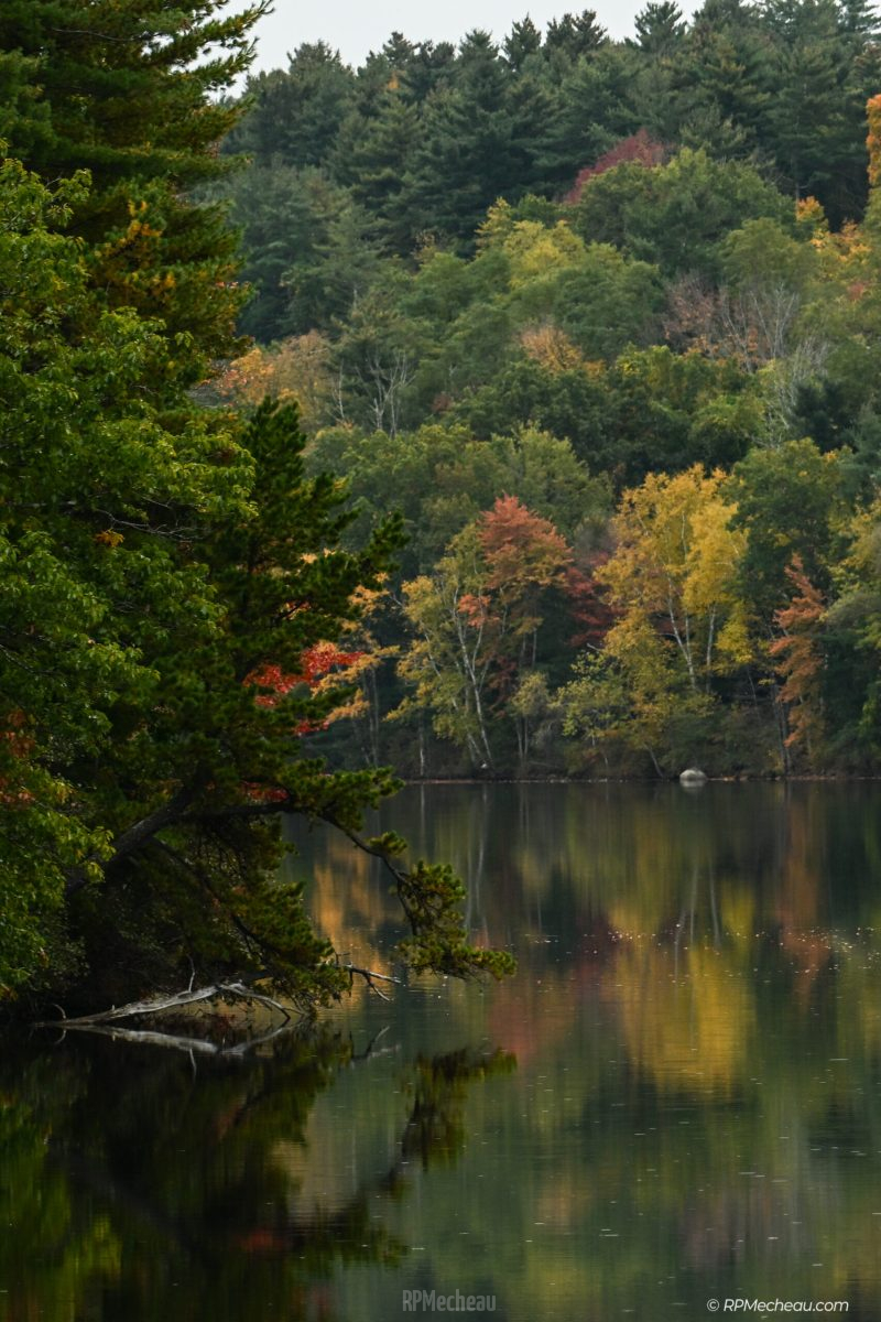 Bend in the river